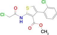 Methyl 2-(2-chloroacetamido)-4-(2-chlorophenyl)thiophene-3-carboxylate