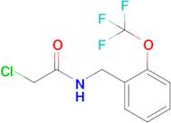 2-Chloro-n-{[2-(trifluoromethoxy)phenyl]methyl}acetamide