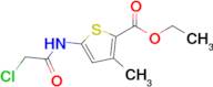 Ethyl 5-(2-chloroacetamido)-3-methylthiophene-2-carboxylate