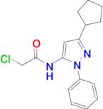 2-Chloro-n-(3-cyclopentyl-1-phenyl-1h-pyrazol-5-yl)acetamide