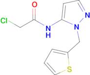 2-Chloro-n-[1-(thiophen-2-ylmethyl)-1h-pyrazol-5-yl]acetamide