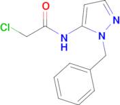 n-(1-Benzyl-1h-pyrazol-5-yl)-2-chloroacetamide