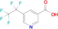 5-(1,1,2,2,2-Pentafluoroethyl)pyridine-3-carboxylic acid