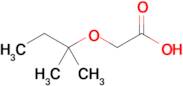 2-[(2-methylbutan-2-yl)oxy]acetic acid