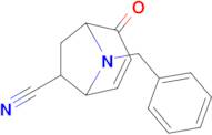 8-Benzyl-2-oxo-8-azabicyclo[3.2.1]oct-3-ene-6-carbonitrile