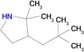 3-(2,2-Dimethylpropyl)-2,2-dimethylpyrrolidine