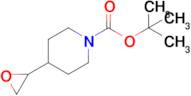 Tert-butyl 4-(oxiran-2-yl)piperidine-1-carboxylate