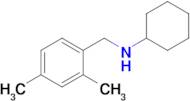 n-[(2,4-dimethylphenyl)methyl]cyclohexanamine