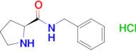 (2s)-n-Benzylpyrrolidine-2-carboxamide hydrochloride