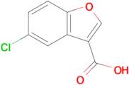 5-Chloro-1-benzofuran-3-carboxylic acid