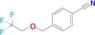 4-[(2,2,2-trifluoroethoxy)methyl]benzonitrile