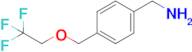 {4-[(2,2,2-trifluoroethoxy)methyl]phenyl}methanamine