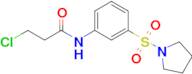 3-Chloro-n-[3-(pyrrolidine-1-sulfonyl)phenyl]propanamide