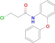 3-Chloro-n-(2-phenoxyphenyl)propanamide
