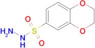 2,3-Dihydro-1,4-benzodioxine-6-sulfonohydrazide