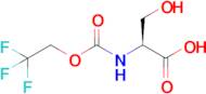 (2s)-3-Hydroxy-2-{[(2,2,2-trifluoroethoxy)carbonyl]amino}propanoic acid