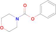 Phenyl morpholine-4-carboxylate