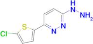 3-(5-Chlorothiophen-2-yl)-6-hydrazinylpyridazine