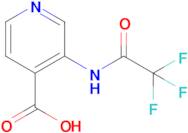 3-(Trifluoroacetamido)pyridine-4-carboxylic acid