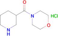 4-(Piperidine-3-carbonyl)morpholine hydrochloride