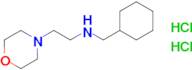 (Cyclohexylmethyl)[2-(morpholin-4-yl)ethyl]amine dihydrochloride