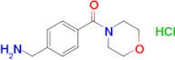 [4-(morpholine-4-carbonyl)phenyl]methanamine hydrochloride