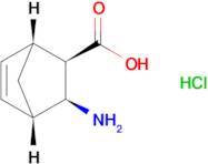 Rac-(1r,2r,3s,4s)-3-aminobicyclo[2.2.1]hept-5-ene-2-carboxylic acid hydrochloride