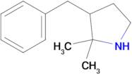 3-Benzyl-2,2-dimethylpyrrolidine