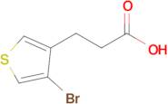 3-(4-Bromothiophen-3-yl)propanoic acid