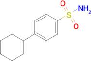 4-Cyclohexylbenzene-1-sulfonamide