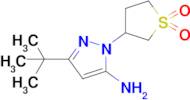 5-Tert-butyl-2-(1,1-dioxothiolan-3-yl)pyrazol-3-amine