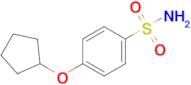 4-(Cyclopentyloxy)benzene-1-sulfonamide