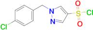 1-[(4-chlorophenyl)methyl]-1h-pyrazole-4-sulfonyl chloride