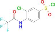 3-Chloro-4-(2,2,2-trifluoroacetamido)benzene-1-sulfonyl chloride