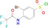 3-Bromo-4-(2,2,2-trifluoroacetamido)benzene-1-sulfonyl chloride