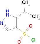 5-(propan-2-yl)-1H-pyrazole-4-sulfonyl chloride