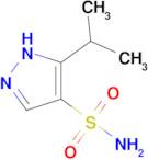 5-(propan-2-yl)-1H-pyrazole-4-sulfonamide