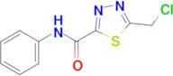 5-(Chloromethyl)-n-phenyl-1,3,4-thiadiazole-2-carboxamide