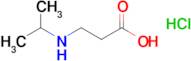 3-[(propan-2-yl)amino]propanoic acid hydrochloride