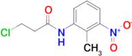 3-Chloro-n-(2-methyl-3-nitrophenyl)propanamide