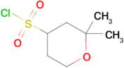 2,2-Dimethyloxane-4-sulfonyl chloride