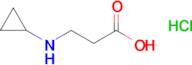 3-(Cyclopropylamino)propanoic acid hydrochloride