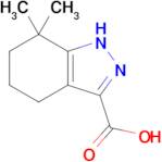 7,7-Dimethyl-4,5,6,7-tetrahydro-1h-indazole-3-carboxylic acid