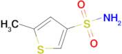 5-Methylthiophene-3-sulfonamide