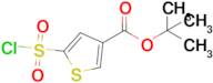 Tert-butyl 5-(chlorosulfonyl)thiophene-3-carboxylate