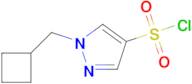 1-(Cyclobutylmethyl)-1h-pyrazole-4-sulfonyl chloride