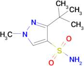 3-(Tert-butyl)-1-methyl-1h-pyrazole-4-sulfonamide