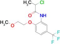 2-Chloro-n-[2-(2-methoxyethoxy)-5-(trifluoromethyl)phenyl]propanamide