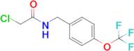 2-Chloro-n-{[4-(trifluoromethoxy)phenyl]methyl}acetamide