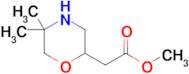 Methyl 2-(5,5-dimethylmorpholin-2-yl)acetate